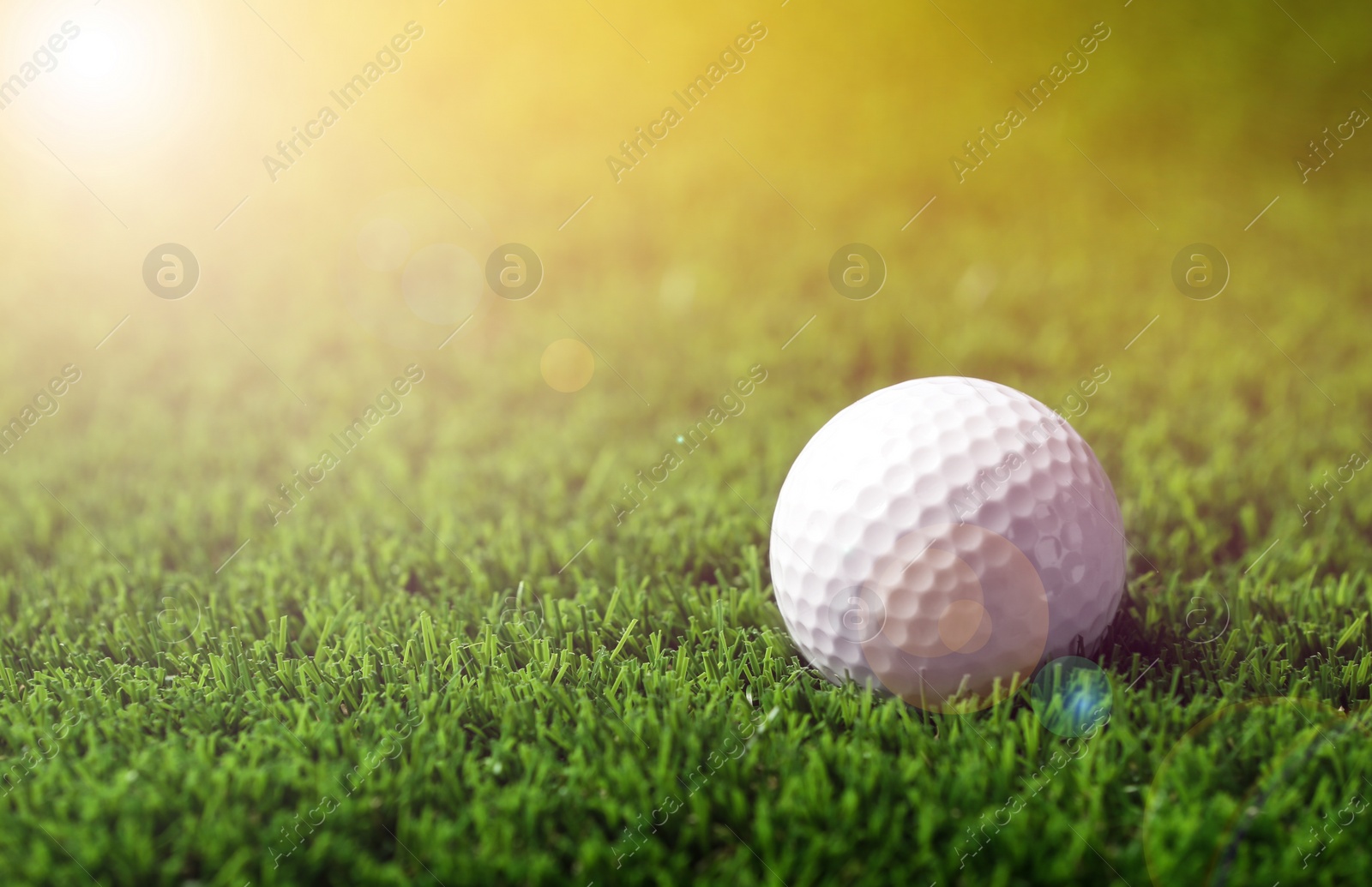 Image of Golf ball in park on sunny day. Space for design