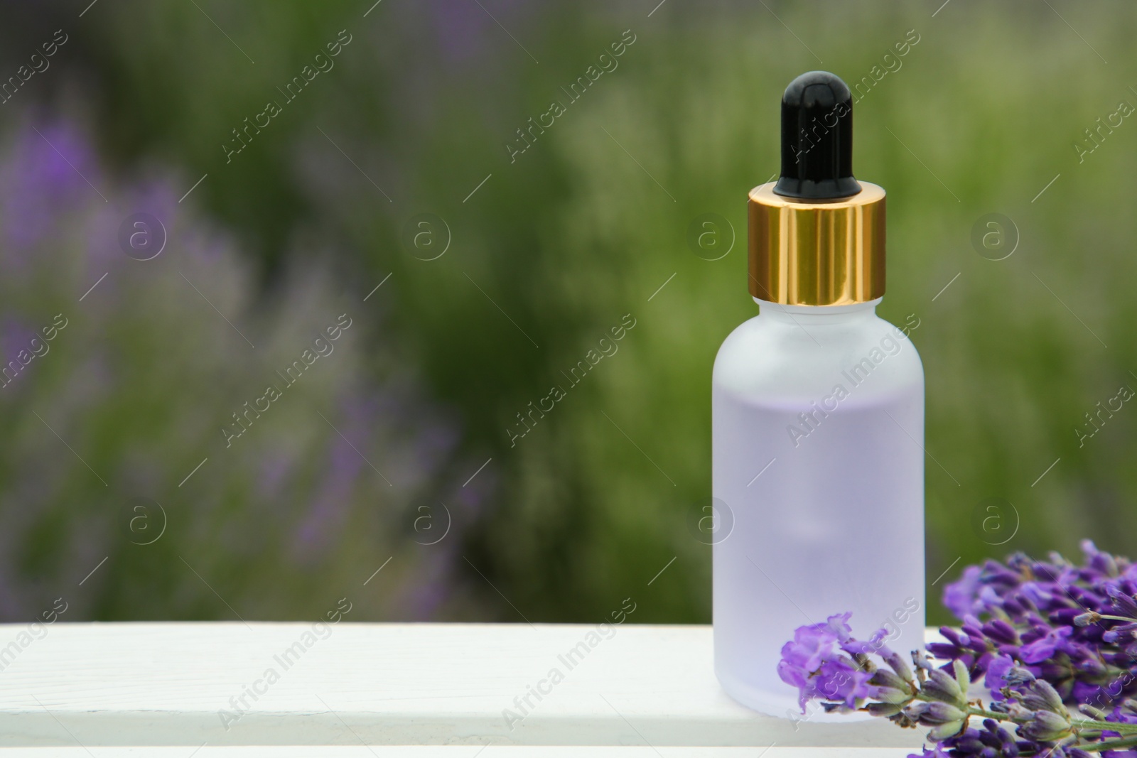 Photo of Bottle of essential oil and lavender flowers on white wooden table in field, space for text