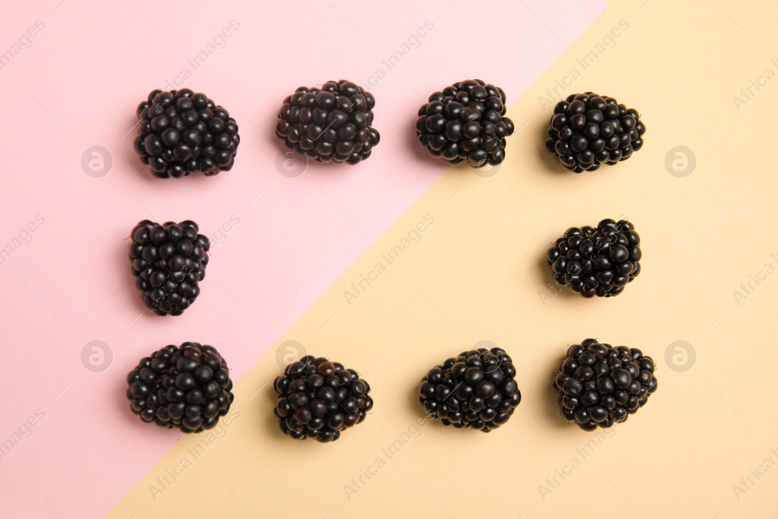 Photo of Flat lay composition with ripe blackberries on color background