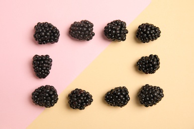 Photo of Flat lay composition with ripe blackberries on color background