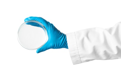 Scientist holding clean Petri dish on white background. Chemical research