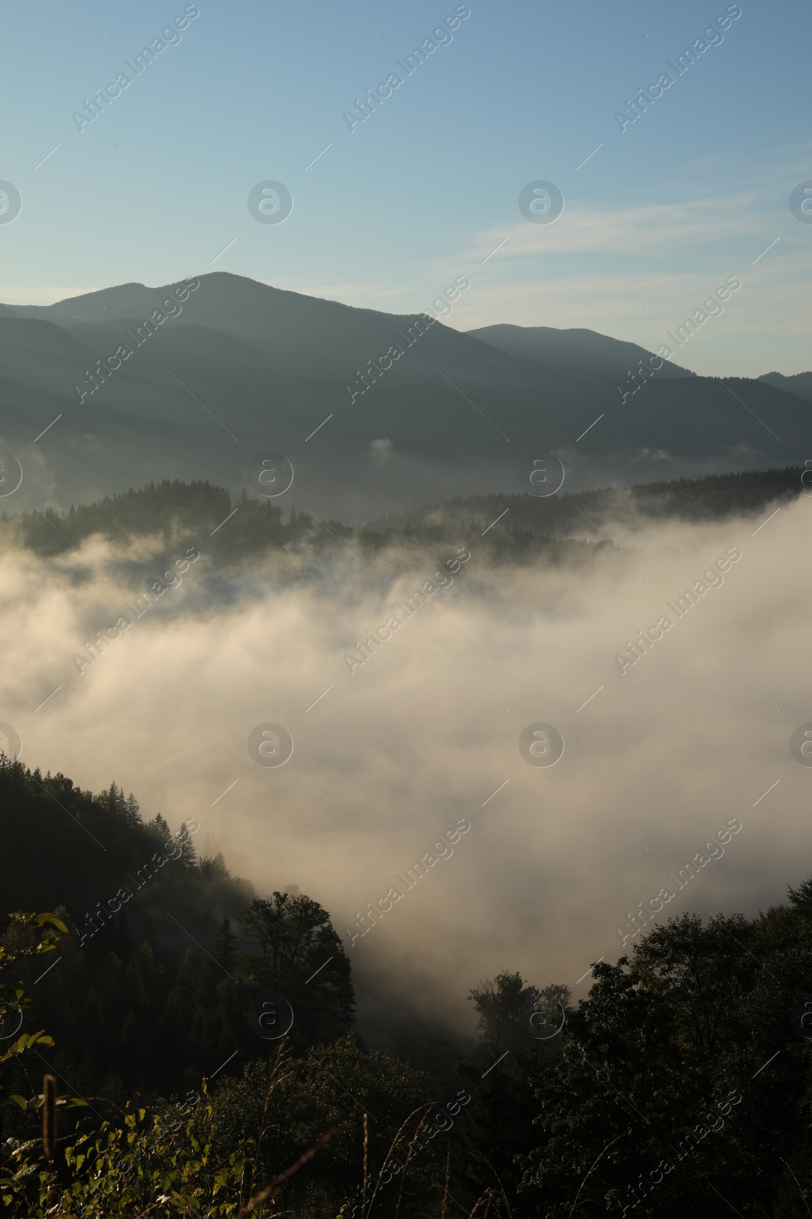 Photo of Beautiful view of mountains covered with fog at sunrise