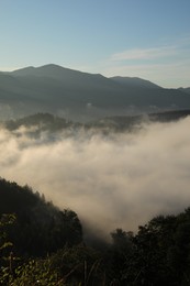 Beautiful view of mountains covered with fog at sunrise