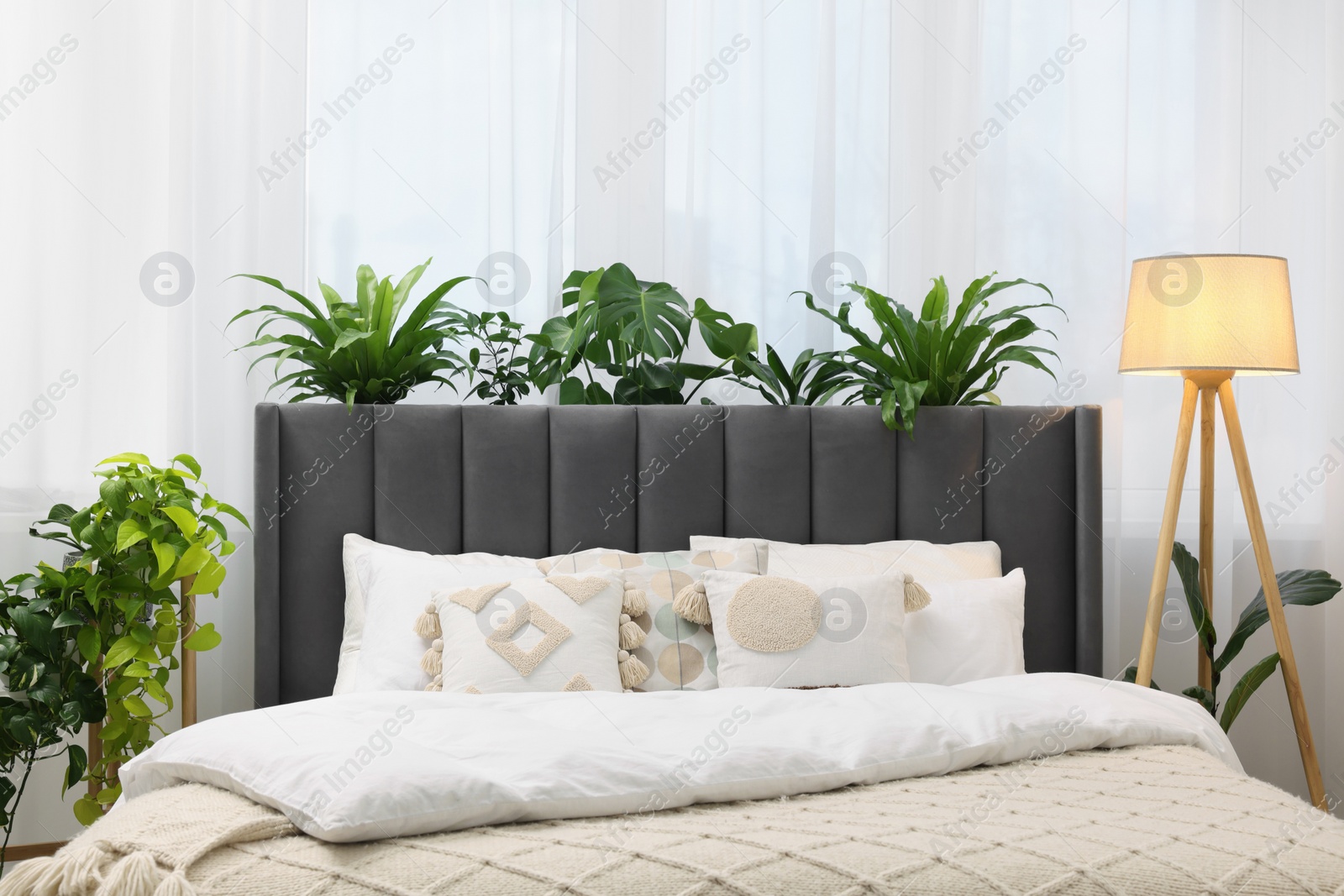 Photo of Large comfortable bed, lamp and beautiful houseplants in bedroom. Interior design