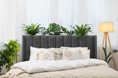 Photo of Large comfortable bed, lamp and beautiful houseplants in bedroom. Interior design