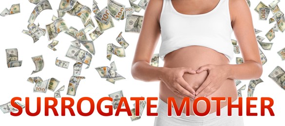 Image of Surrogacy concept. Closeup view of young pregnant woman and flying money on white background, banner design