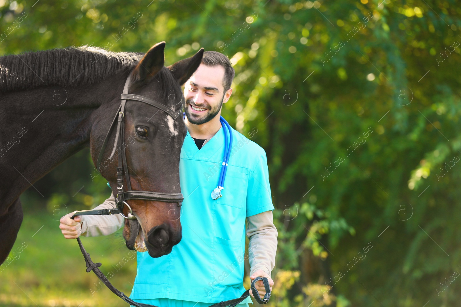 Photo of Veterinarian in uniform with beautiful brown horse outdoors. Space for text