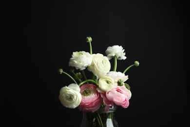 Glass vase with beautiful ranunculus flowers on black background