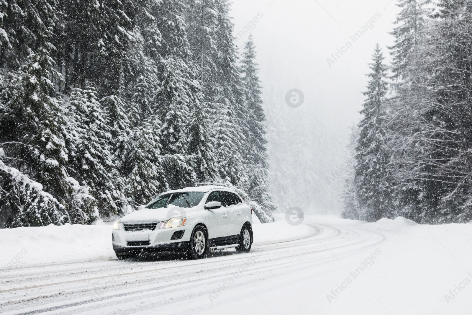 Photo of Modern car on snowy road near forest. Winter vacation