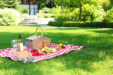 Picnic basket with products and bottle of wine on checkered blanket in garden. Space for text