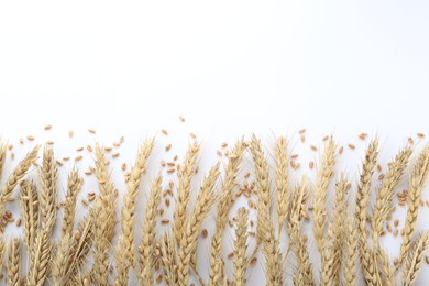 Many ears of wheat and grains on white background, flat lay. Space for text