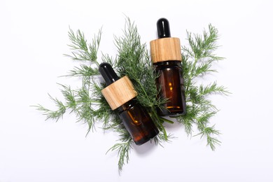 Photo of Bottles of essential oil and fresh dill on white background, flat lay