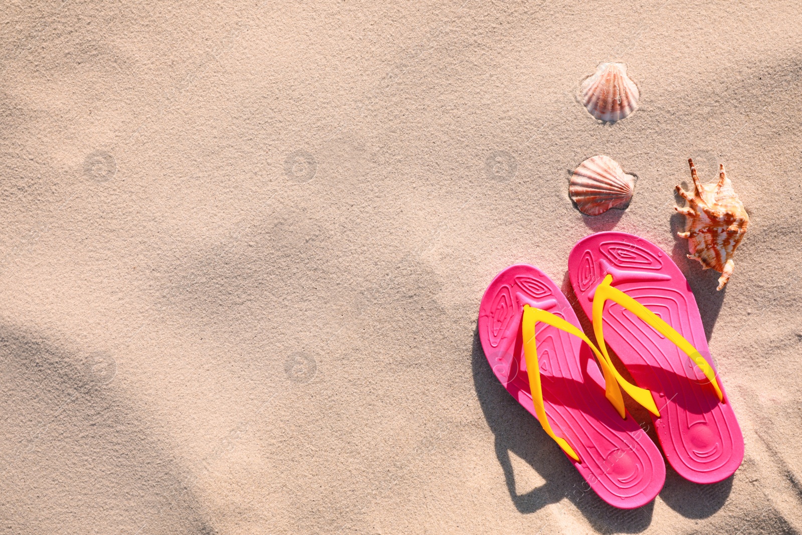 Photo of Stylish flip flops and sea shells on beach, flat lay. Space for text