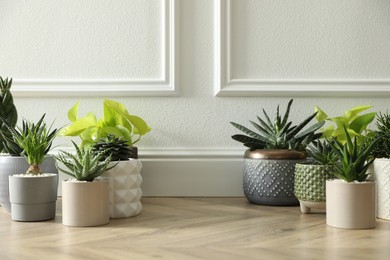 Photo of Different potted plants on floor near white wall, space for text. Floral house decor