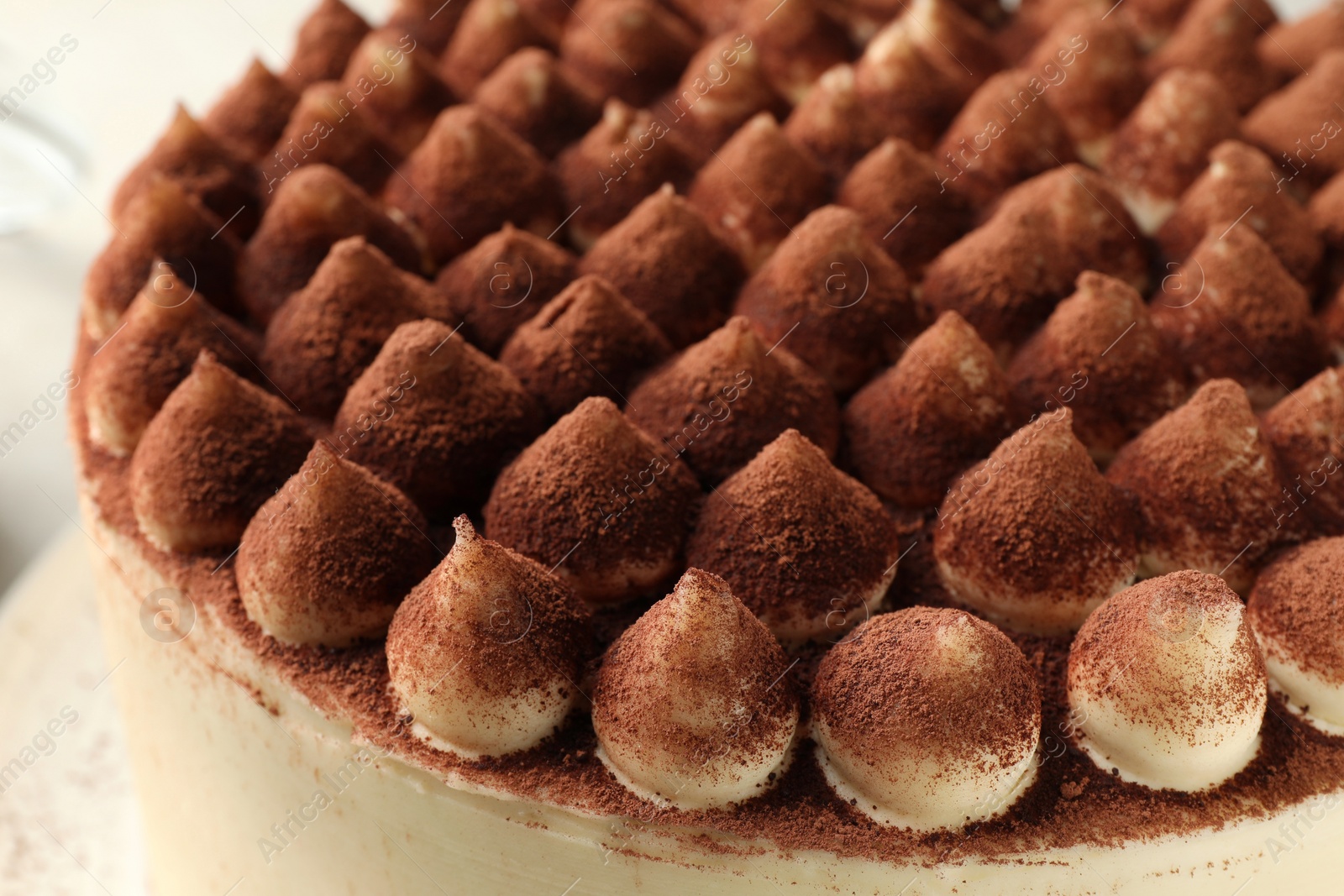 Photo of Delicious tiramisu cake with cocoa powder, closeup