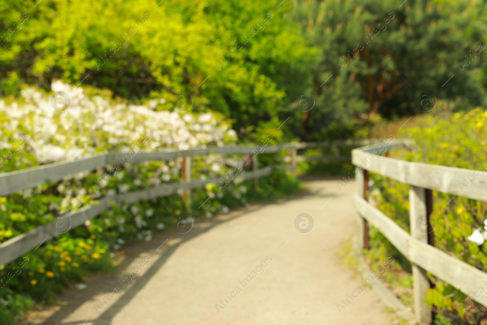 Photo of Blurred view of beautiful park on sunny day