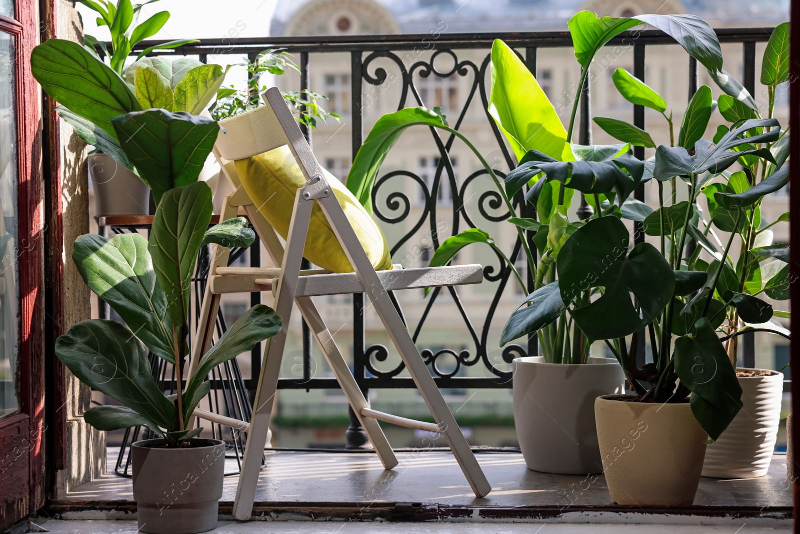 Photo of Relaxing atmosphere. Stylish chair with pillow surrounded by beautiful houseplants on balcony