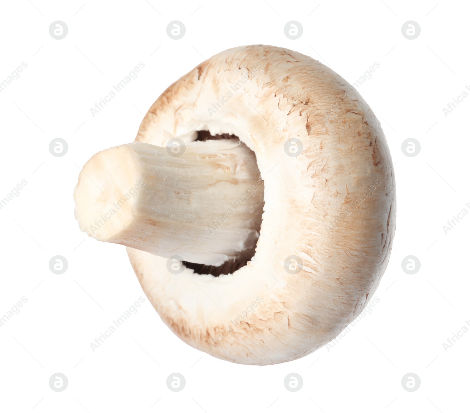 Photo of Fresh champignon mushroom isolated on white. Healthy food