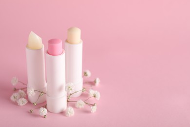 Photo of Different lip balms and gypsophila on pink background, space for text
