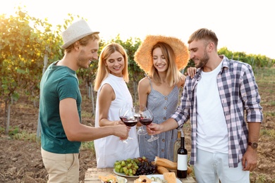 Photo of Friends tasting wine and having fun on vineyard picnic