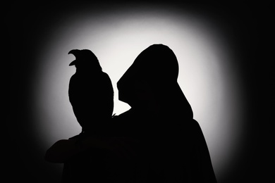 Silhouettes of mysterious witch and raven on dark background