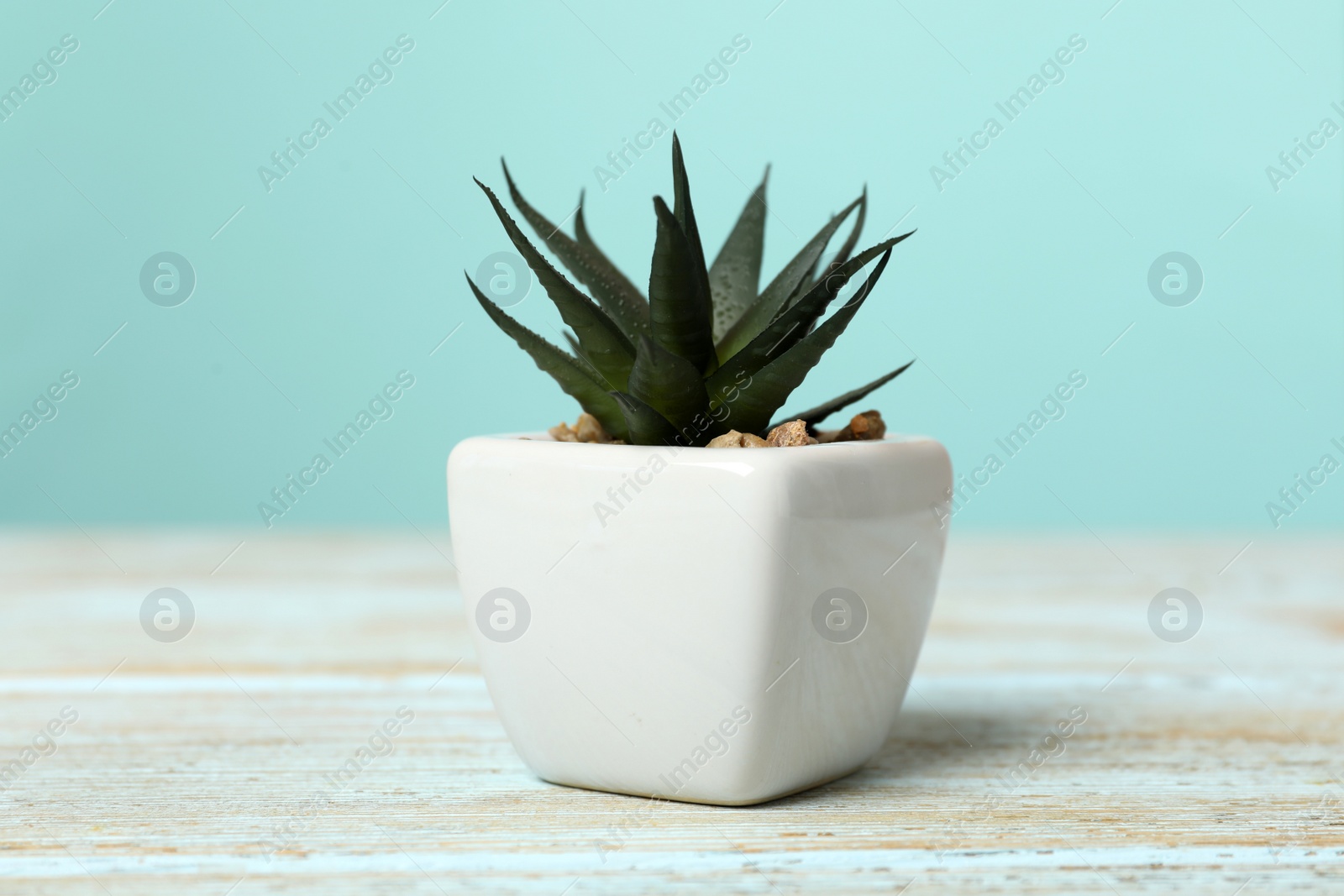 Photo of Artificial plant in white flower pot on light blue wooden table