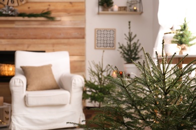 Beautiful fir tree and Christmas decorations in room with fireplace, closeup. Stylish interior design