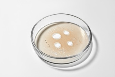 Photo of Petri dish with beige liquid on white background