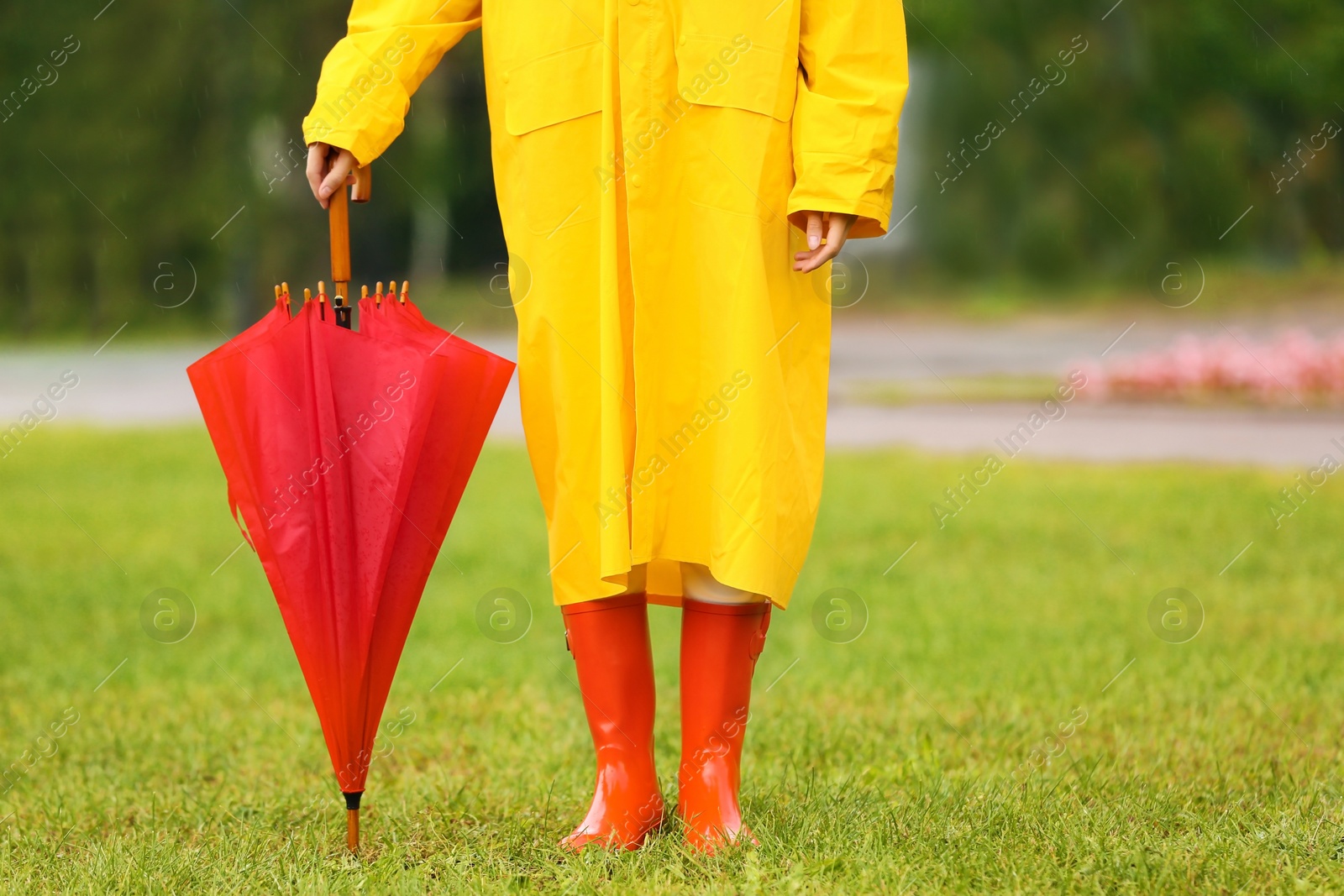 Photo of Young woman with red umbrella wearing yellow raincoat in park, closeup