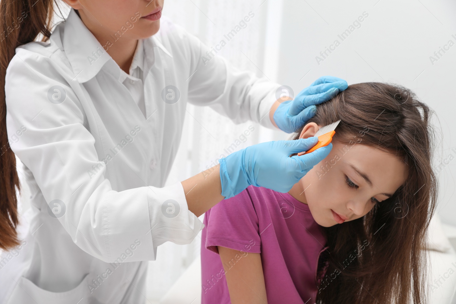 Photo of Doctor using nit comb on little girl's hair indoors. Anti lice treatment