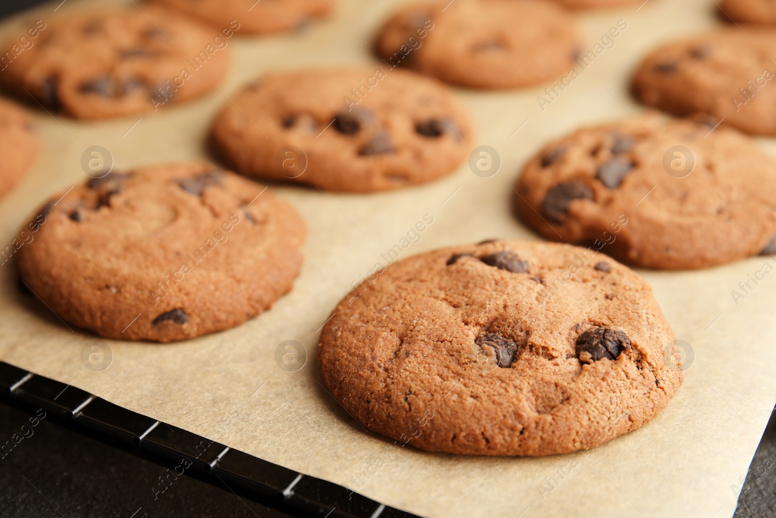 Photo of Tasty chocolate chip cookies on parchment, closeup