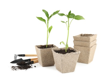 Vegetable seedlings and garden tools isolated on white