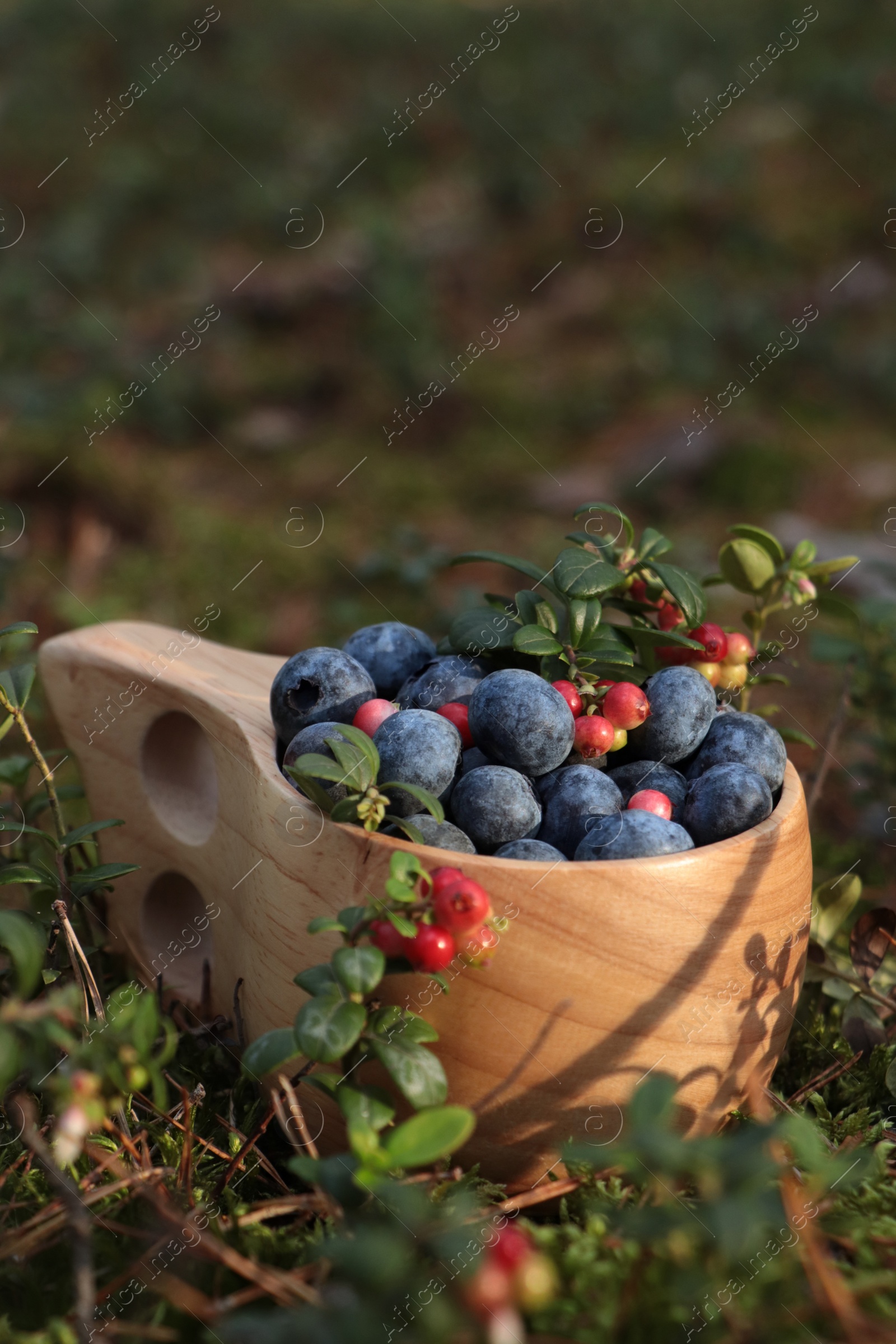 Photo of Wooden mug full of fresh ripe blueberries and lingonberries in grass