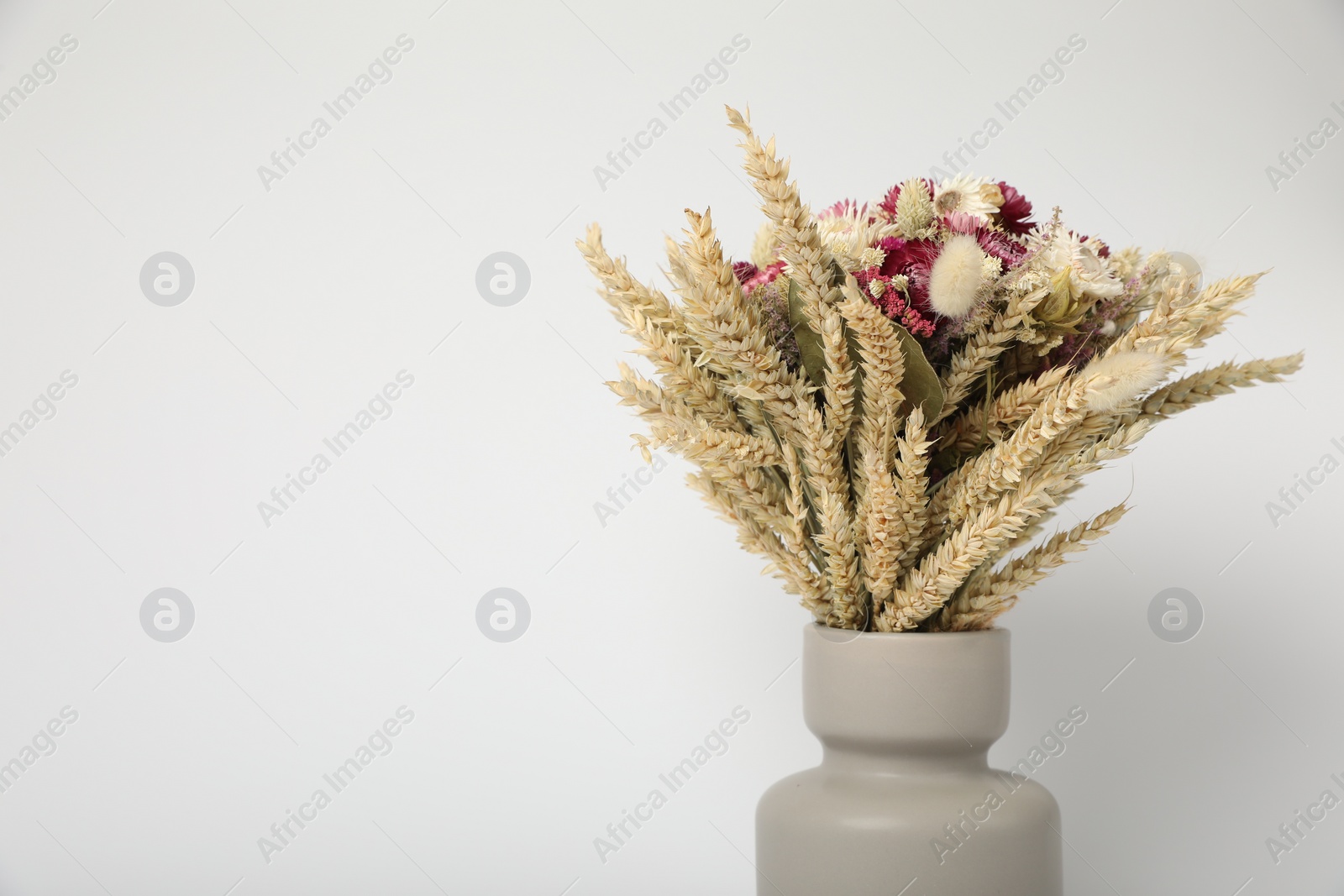 Photo of Beautiful bouquet of dry flowers in vase on white background, space for text