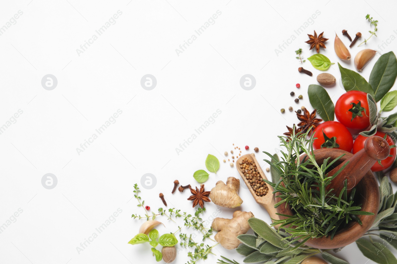 Photo of Different fresh herbs and spices on white background, top view