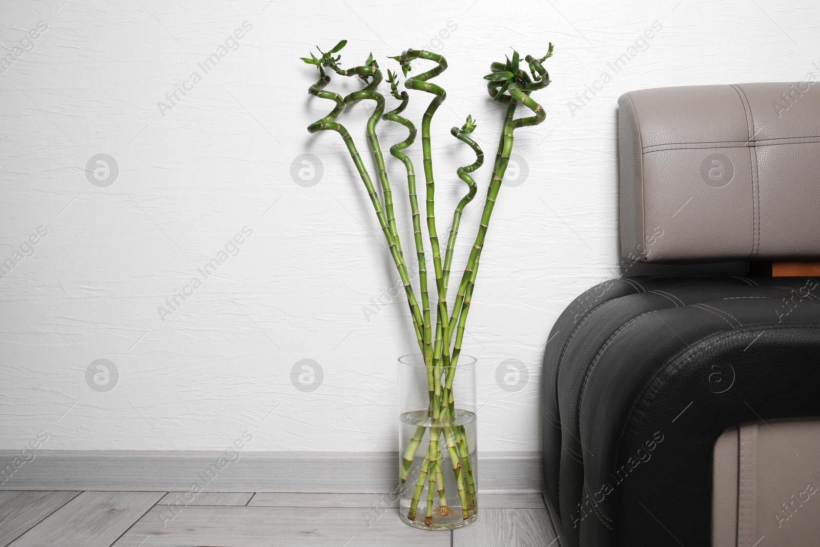 Photo of Vase with beautiful green bamboo stems near couch indoors. Space for text