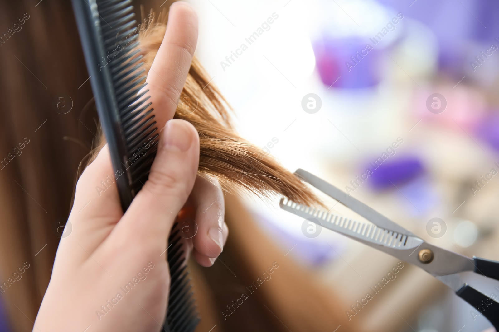 Photo of Professional hairdresser working with client in salon