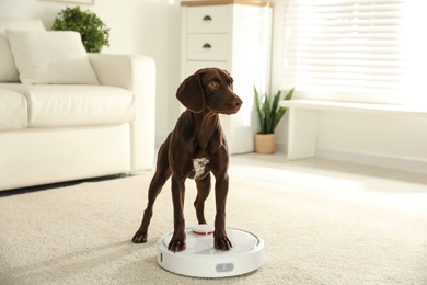 Photo of Modern robotic vacuum cleaner and German Shorthaired Pointer dog on floor indoors