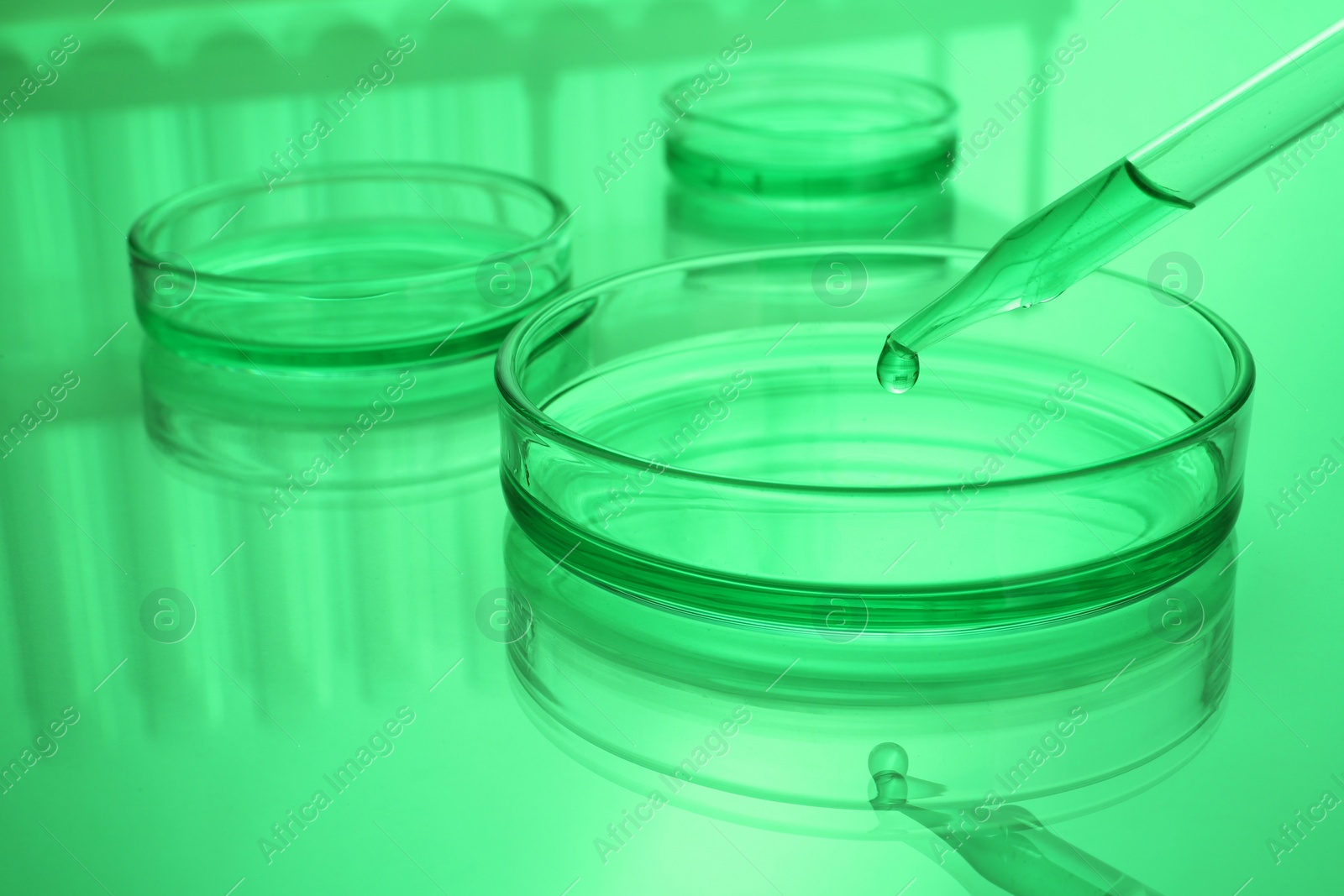 Photo of Dripping reagent into Petri dish with sample on table, toned in green