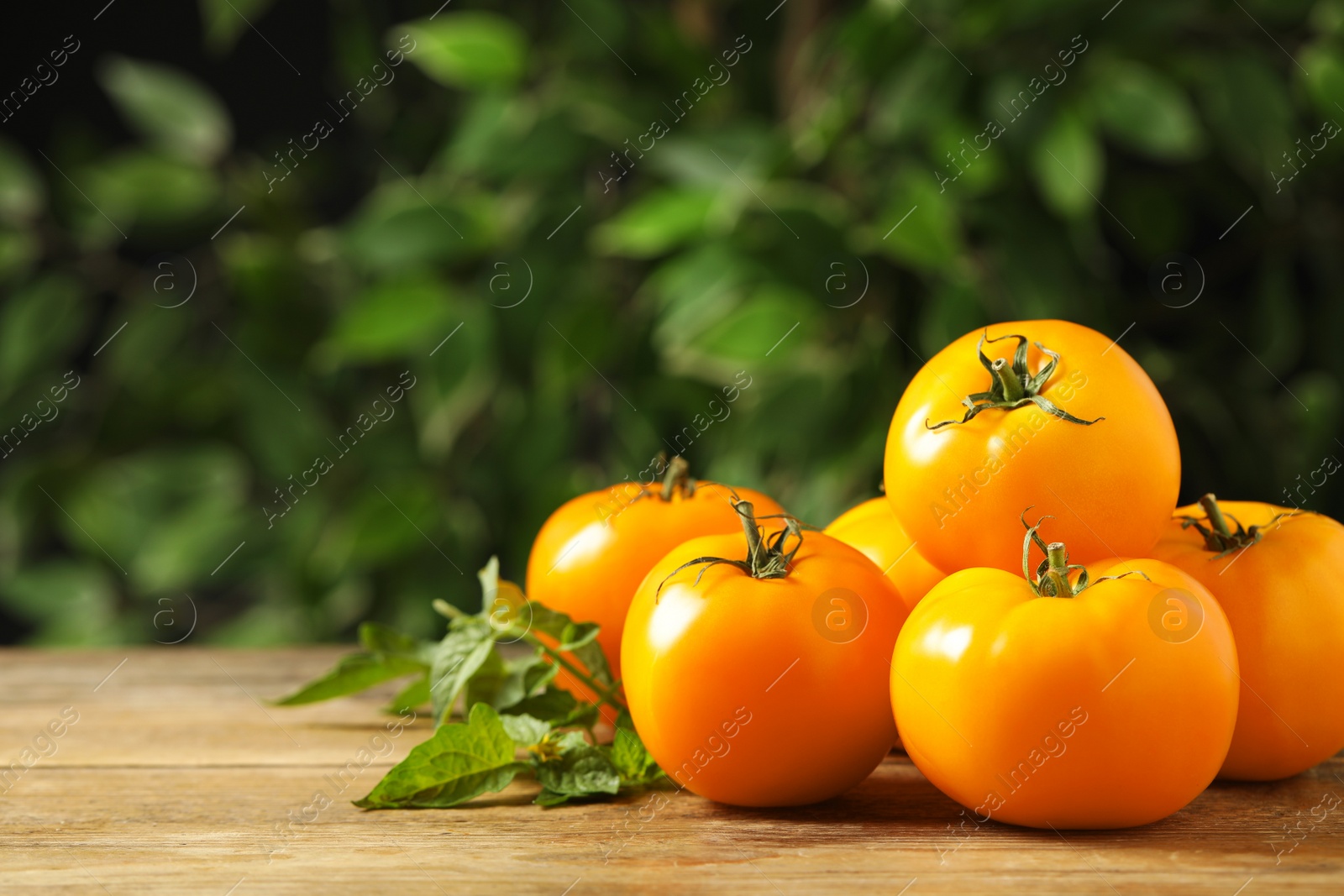 Photo of Fresh ripe yellow tomatoes on wooden table outdoors. Space for text