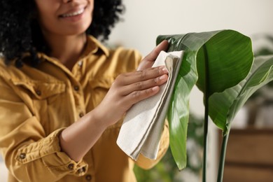 Photo of Closeup of woman wiping beautiful houseplant leaf indoors