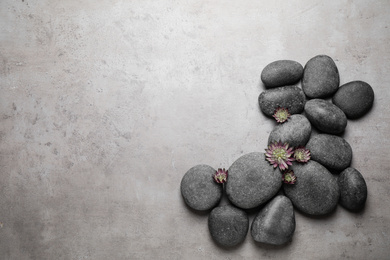 Spa stones and astrantia flowers on grey table, flat lay. Space for text