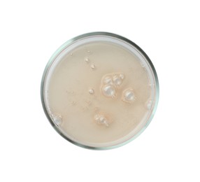 Photo of Petri dishes with beige liquid isolated on white, top view