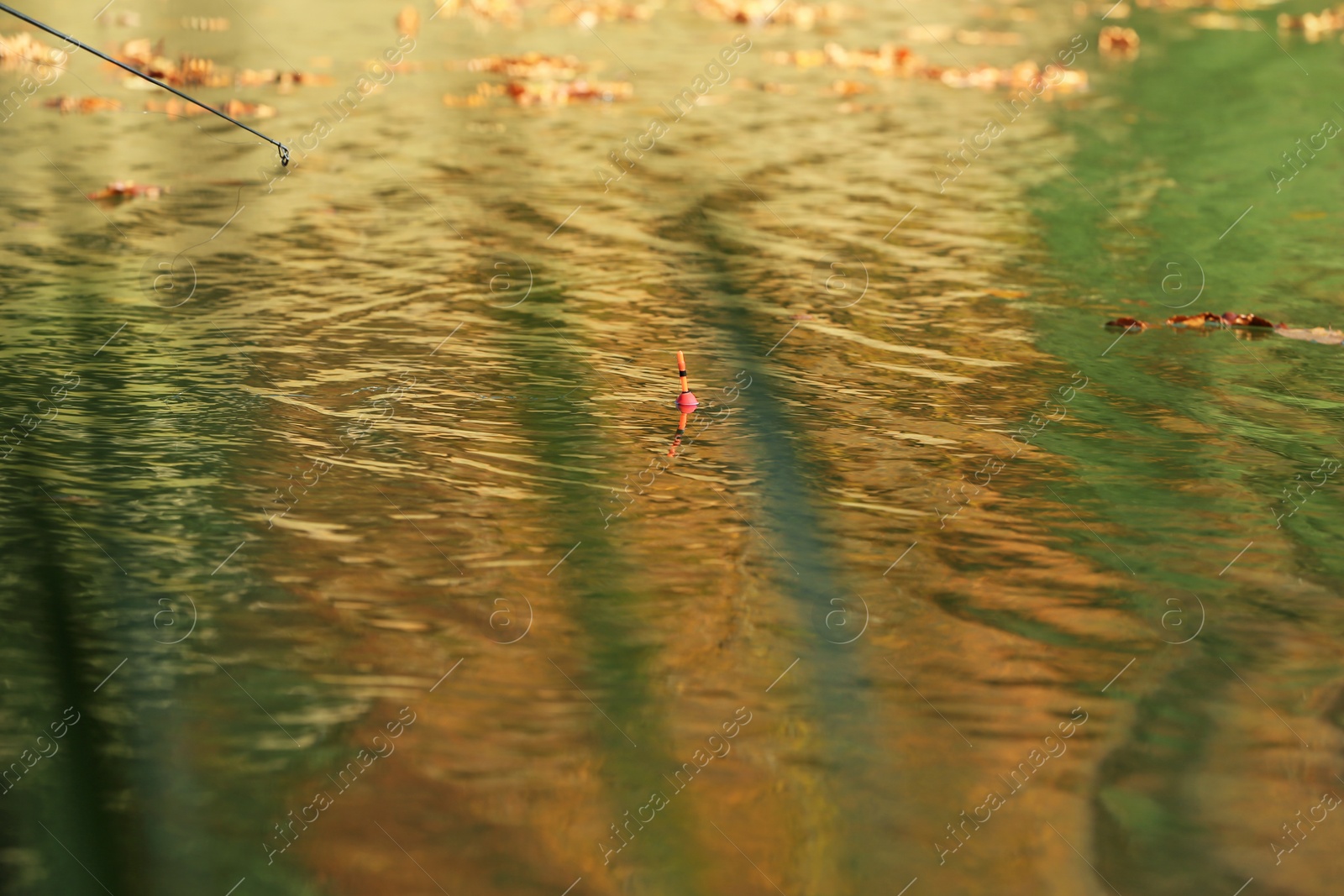 Photo of Fishing in river. Float on surface of water