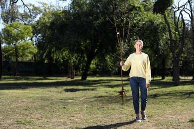 Happy woman with young tree ready for planting outdoors on sunny day