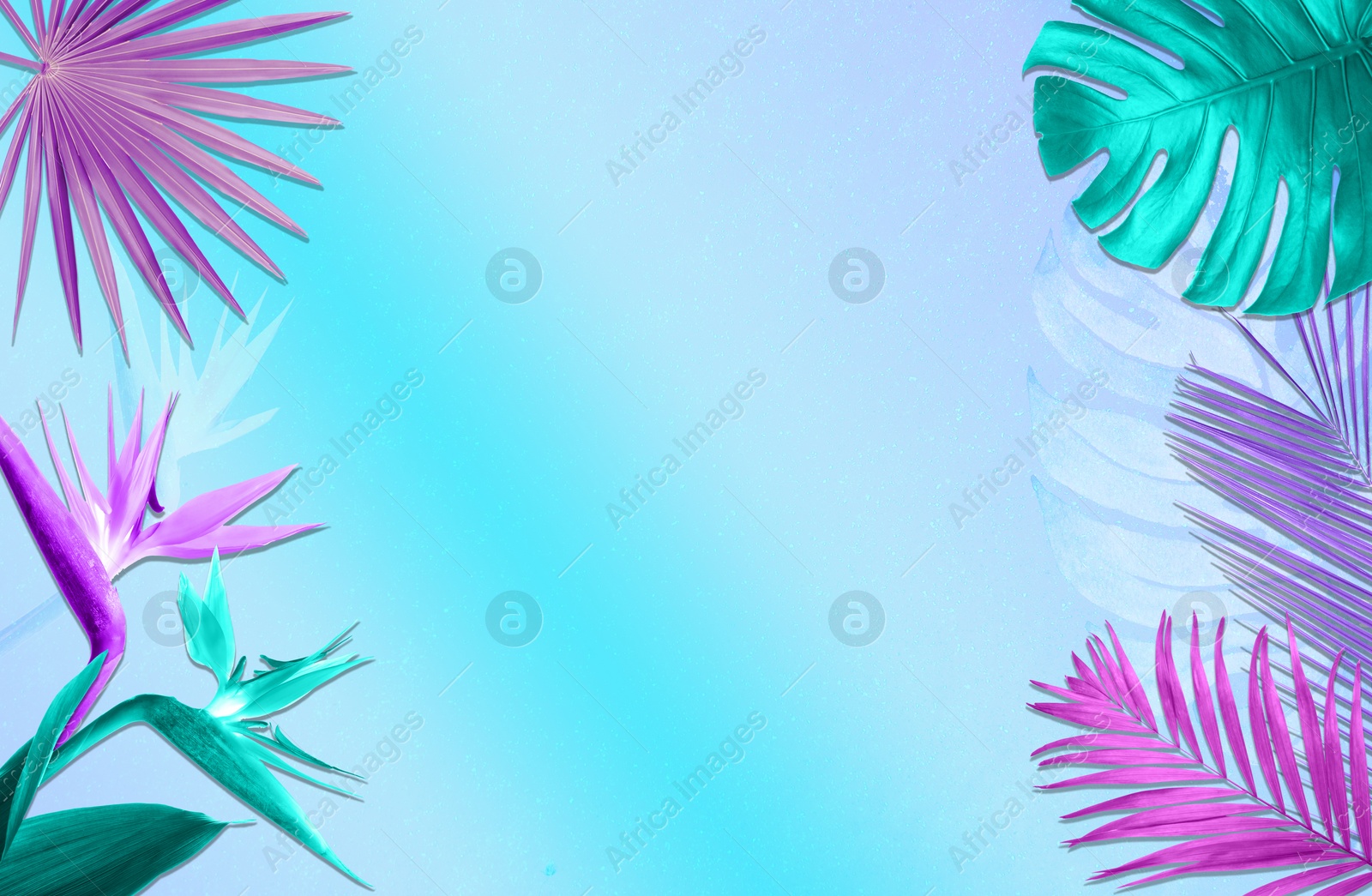 Image of Colorful tropical plants on bright background, flat lay. Creative design