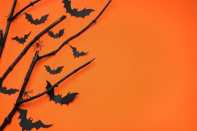 Photo of Flat lay composition with black branches, paper bats and spiders on orange background, space for text. Halloween celebration