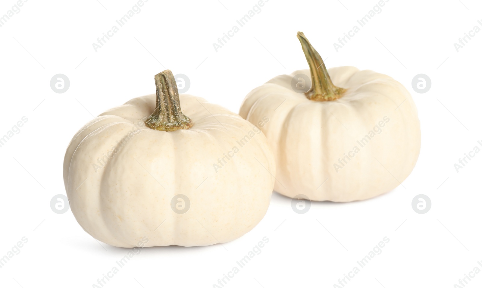 Photo of Beautiful small ripe pumpkins on white background