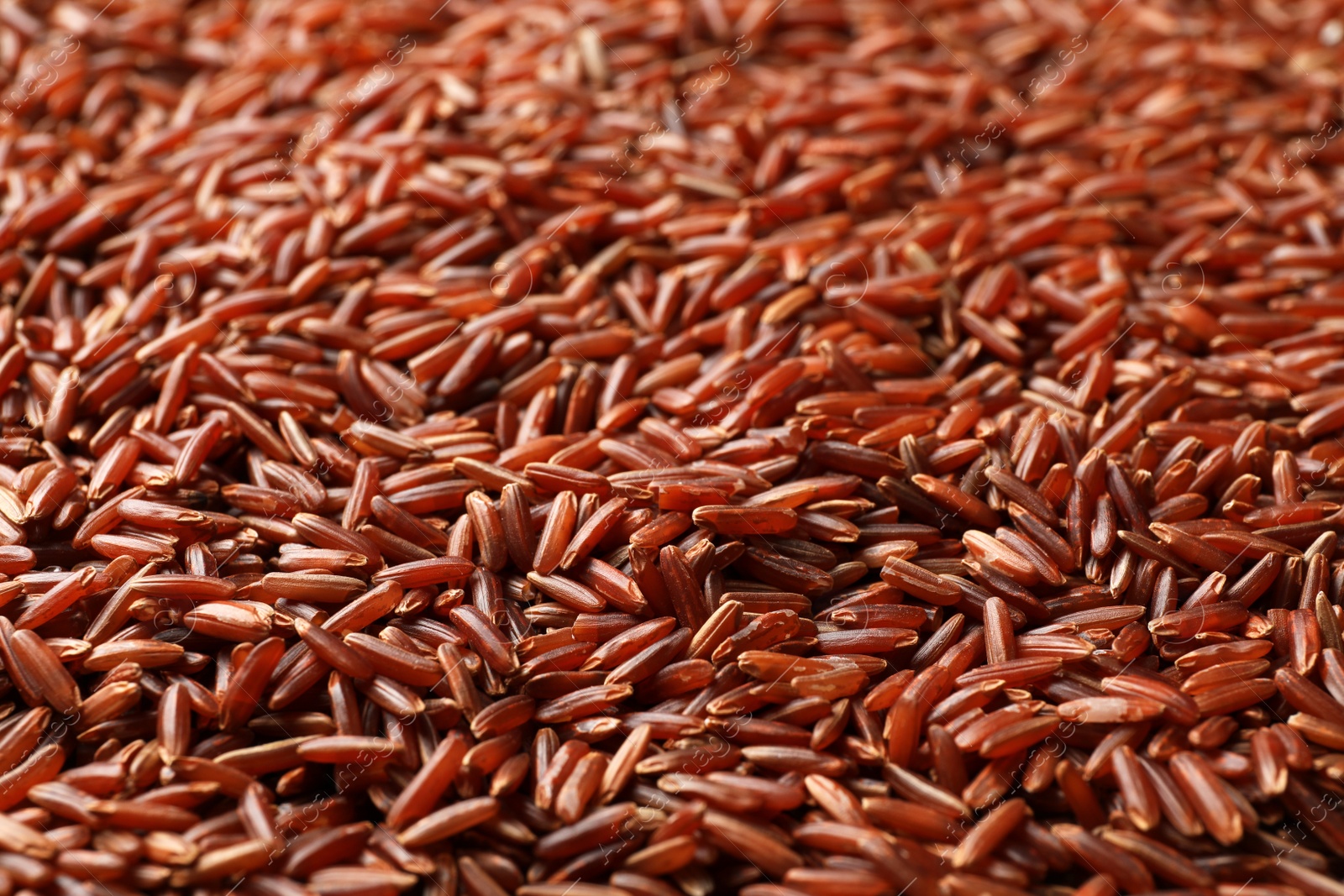 Photo of Raw brown rice as background, closeup view