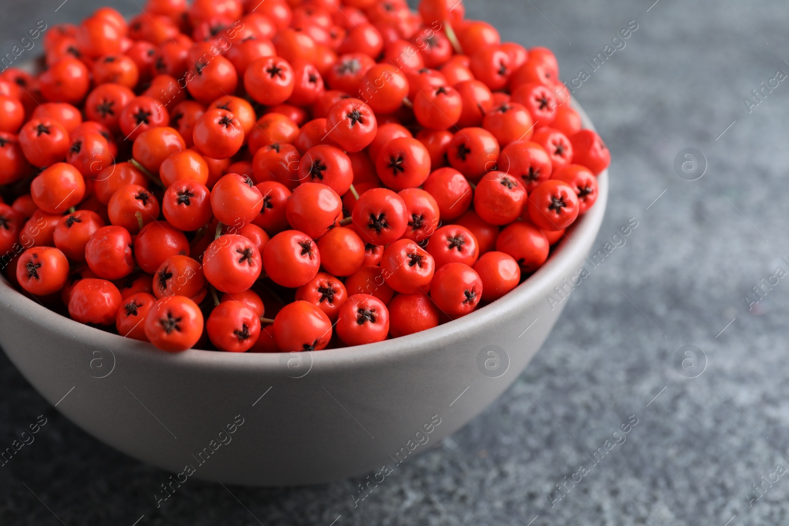 Photo of Fresh ripe rowan berries in bowl on grey table, closeup
